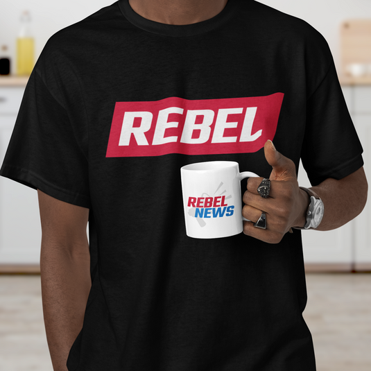 Rebel Gear